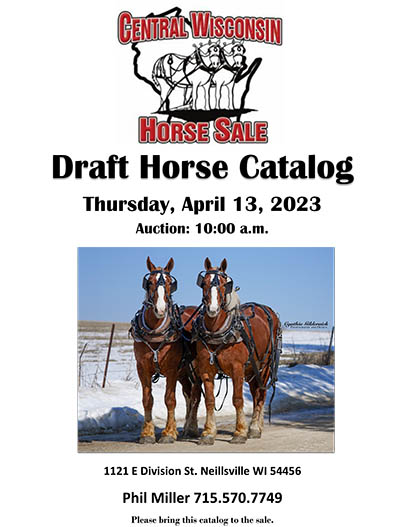 Central Wisconsin Horse Sales